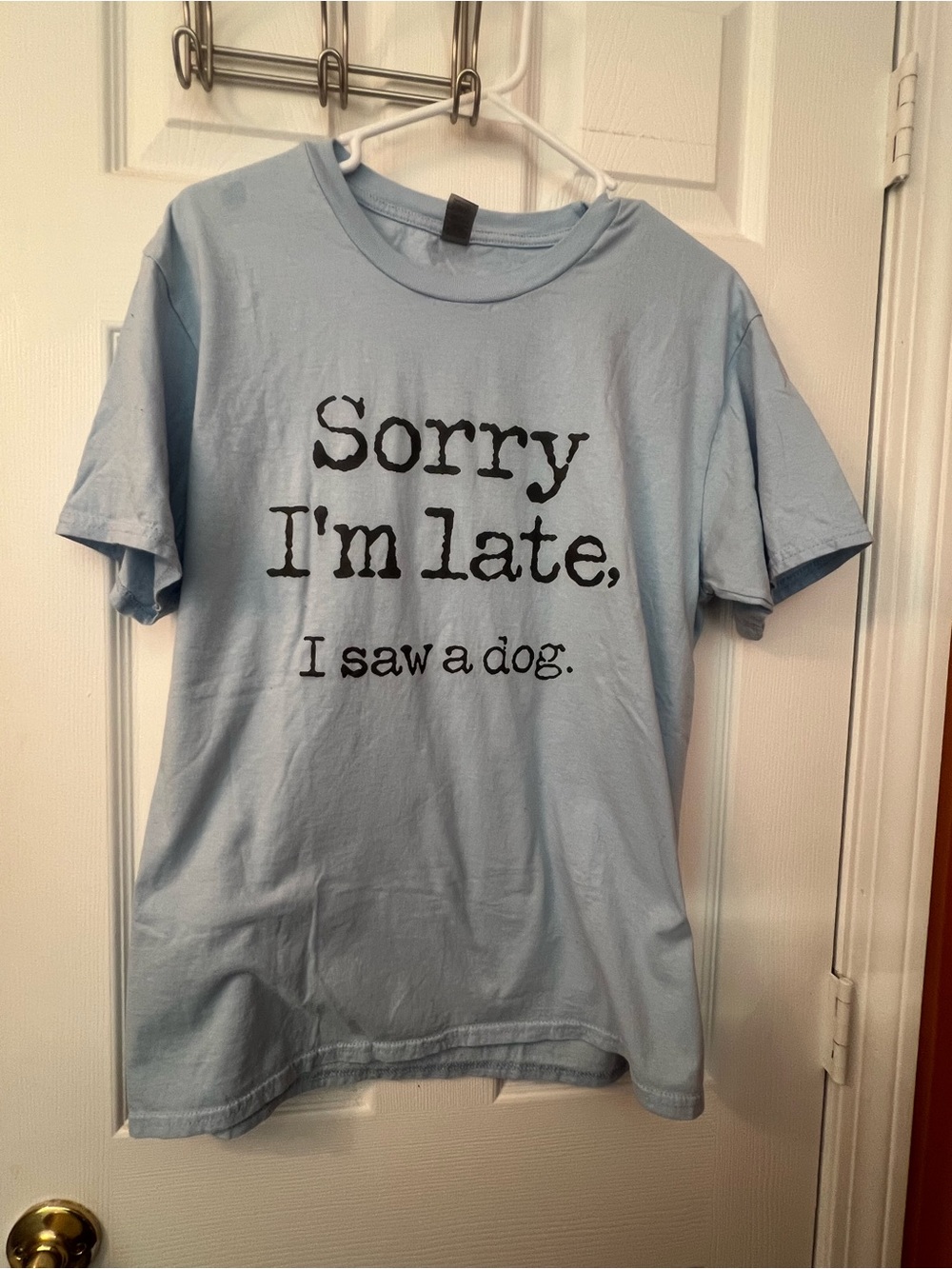 Gildan Light Blue "Sorry I'm Late, I saw a dog." Graphic Tee